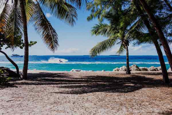 Caribbean